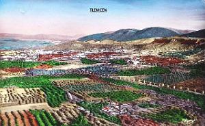 TLEMCEN 208 